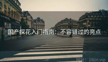 国产探花入门指南：不容错过的亮点