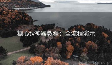 糖心tv神器教程：全流程演示