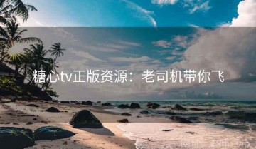 糖心tv正版资源：老司机带你飞